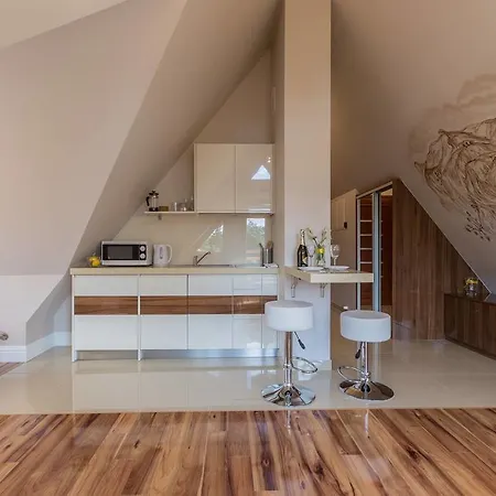 아파트 Zakopianskie Tarasy Spa, Odkryj-zakopane